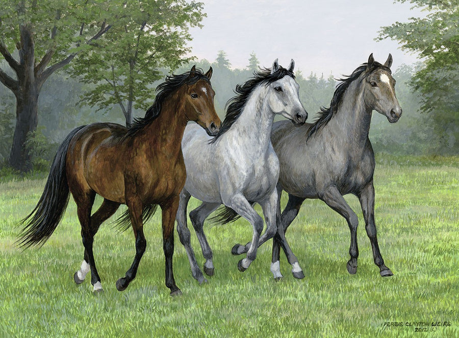 Wild Trifecta by Persis Clayton Weirs 200pcs XXL Puzzle