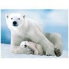 Polar Bear And Baby 1000pc Puzzle