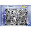 Zebra Challenge 500pcs Puzzle
